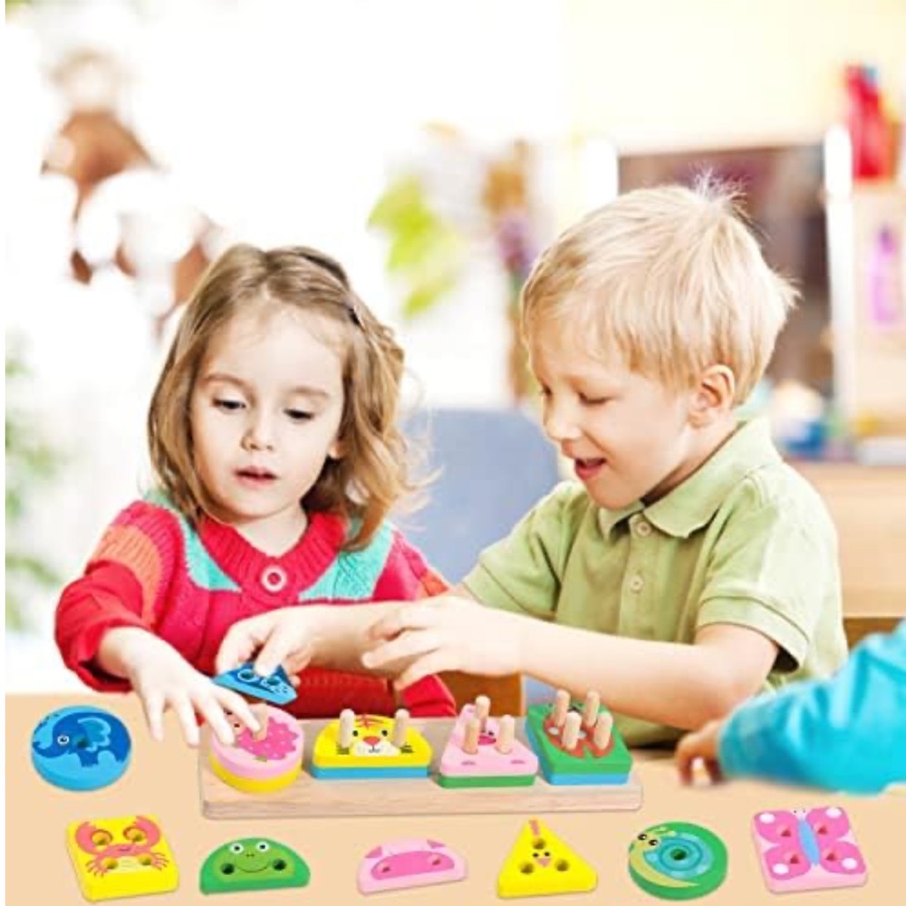 Montessori Wooden Sorting and stacking Toys for Kids